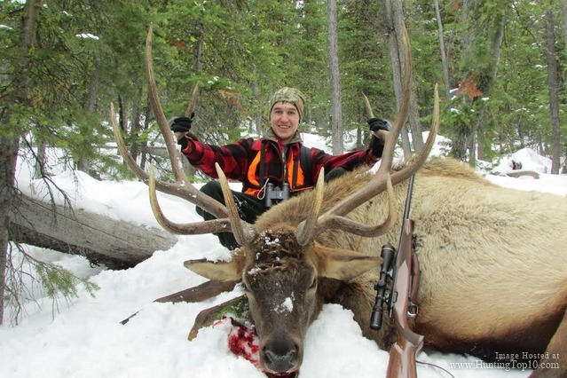 Montana Rifle Elk Hunt.