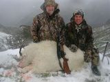 Alaska Mountain Goat hunting 2011 Dave Werkmeister 2011