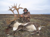 Alaska Caribou Hunting Guide, Master Alaska Hunting Outfitter.