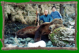 Brown bear hunts in Alaska