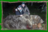 Alaska bear hunting