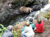 Alaska Bear Watching