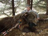 Kodiak Bear Hunting Alaska