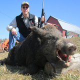 Boar Hunting in Pennsylvania.