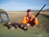 Upland Game Bird Hunt, Pheasant Hunting South Dakota.