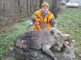 Tennessee Archery Boar Hunting.