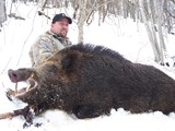 Russian Boar 
