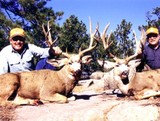 Wyoming Whitetail Deer Hunting
