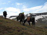 High Mountain horses