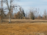 Illinois Whitetail Deer hunting property