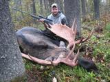 Rifle Moose Hunt