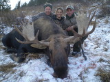 mega moose