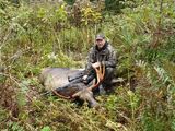 Moose Hunting in Newfoundland
