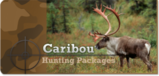 Moose Hunts in Quebec