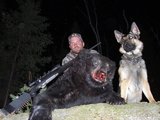 Bear Hunts in Quebec
