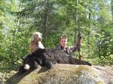 Quebec Bow Hunting Bear.