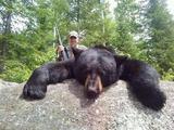 Huge Black Bear Quebec