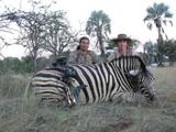 Zebra hunting adventure in African Safari