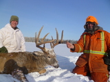 Saskatchewan, Canada Whitetail Deer Hunts