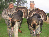 Turkey  Hunting