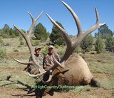 Bull Elk Hunts
