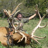 Bull Elk Hunts