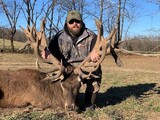Red Stag 400 plus