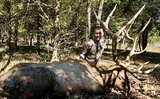 Elk around 390