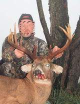 Whitetail wisconsin success