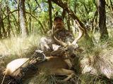 Blacktail Deer hunting in California