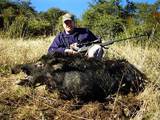 Wild boar hunting California
