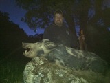 Big hog taken in late Spring.