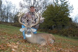 Nice Whitetail Deer Ohio Whitetail Deer Hunting.