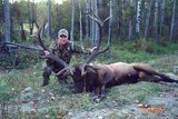 Elk hunt 2011 Bighorn Buck Adventures