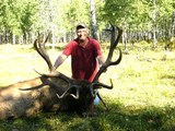 Elk hunt 2011 Bighorn Buck Adventures