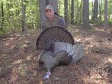 Turkey bow hunt