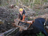 Moose hunting in Maine