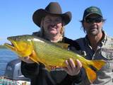 Golden Dorado fishing