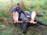Another Trophy Bull