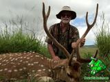 Axis Deer hunting in Hawaii