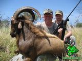 Hawaiian Ibex hunt