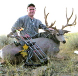 Nice Archery Buck