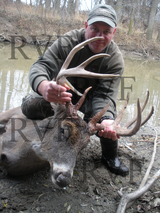 Nice Kentucky Buck