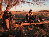Nebraska Pheasant Hunting