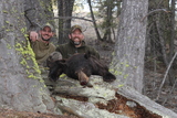 Idaho Bear Hunting Outfitters