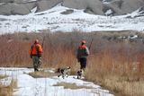 Hunting pheasant in Utah.