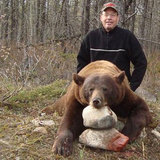 Nice bear hunt