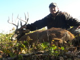Another BBD Buck