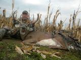 Bow Hunting Whitetails In Ohio.