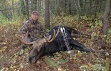 Archery Moose hunt